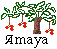  amaya, browser and web editor